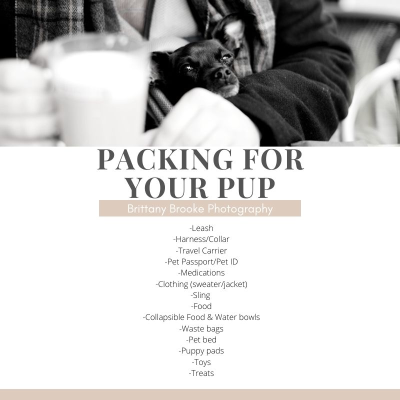 A Packing list for traveling with your dog